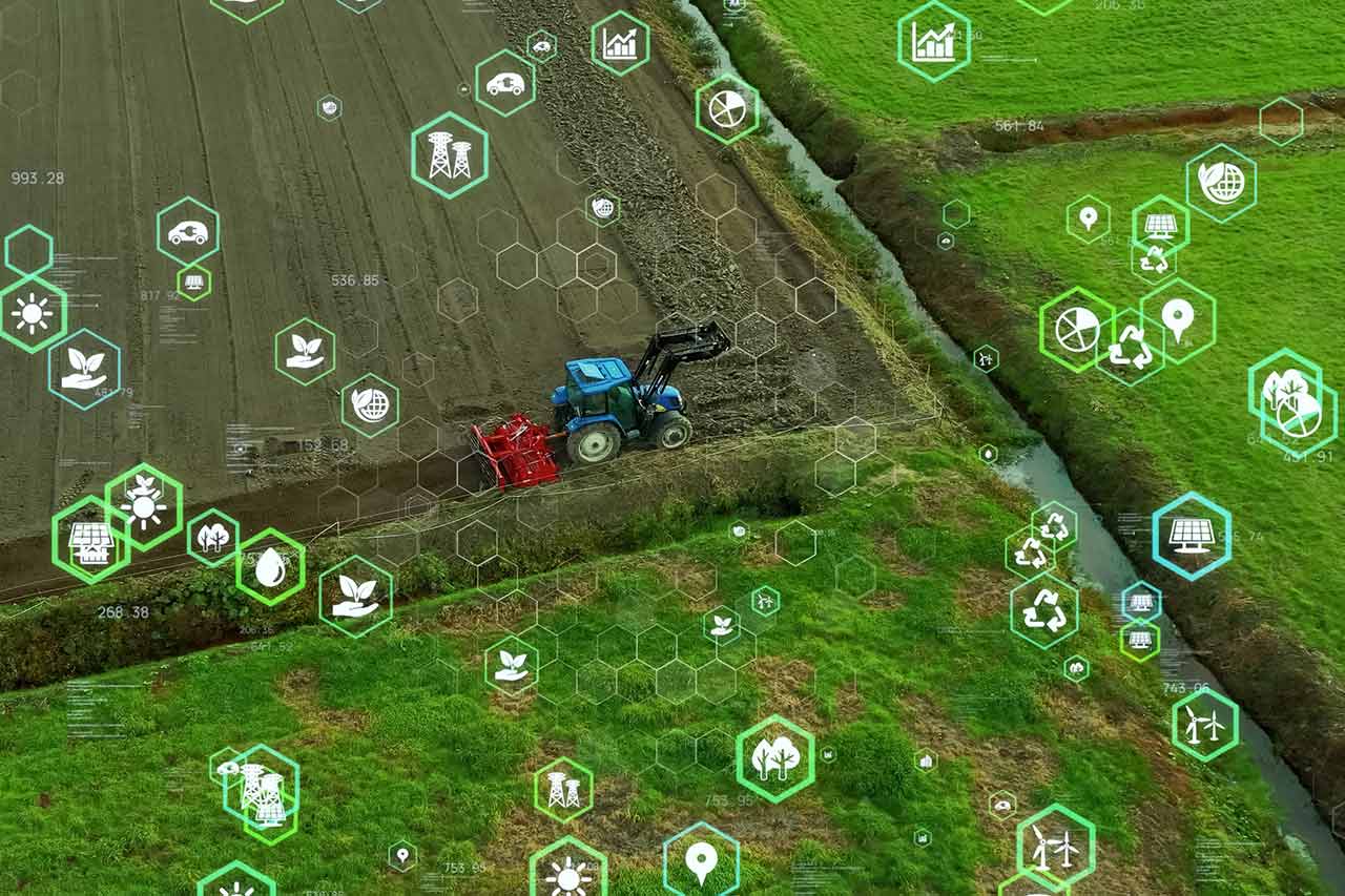 agtech agence cabinet conseil consulting