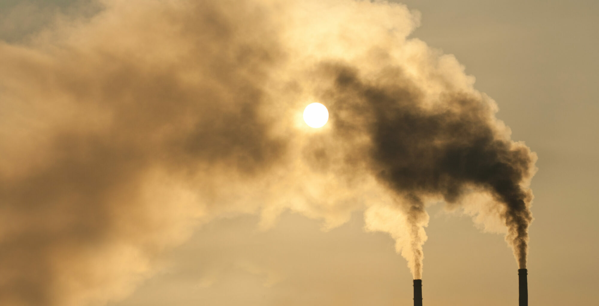 air pollution neurodegenerative diseases agency consulting consultancy experts