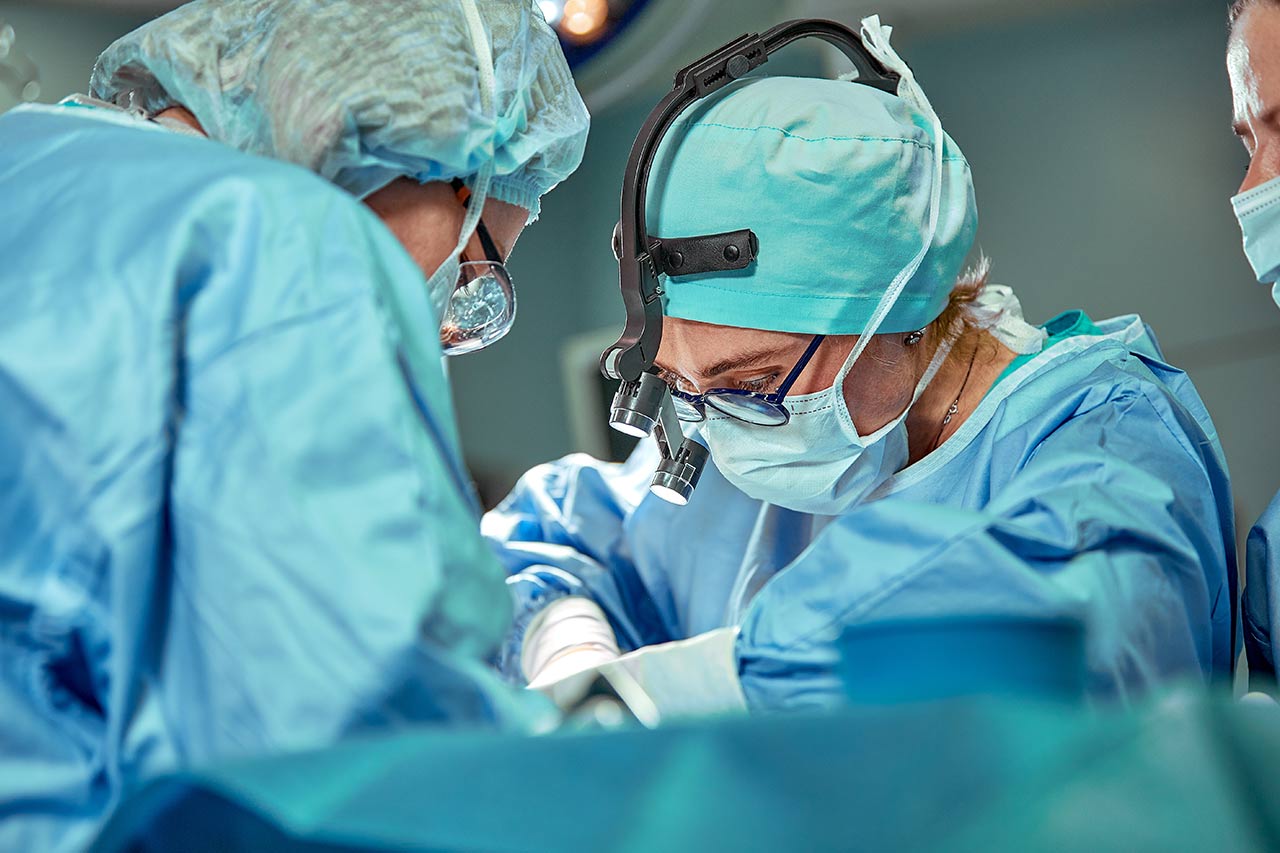 Organ allocation agency consulting consultancy experts