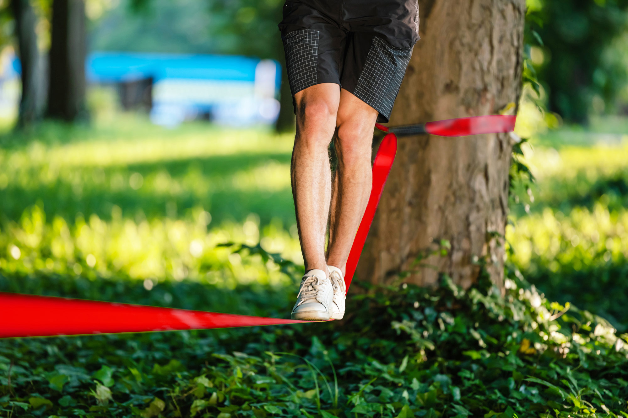 Carbon neutrality Agency Consulting firm Experts Specialists Consultancy