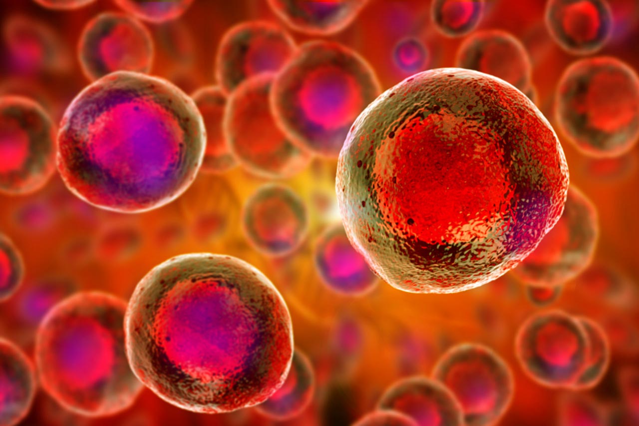 Stem Cell Therapy agence cabinet conseil consulting