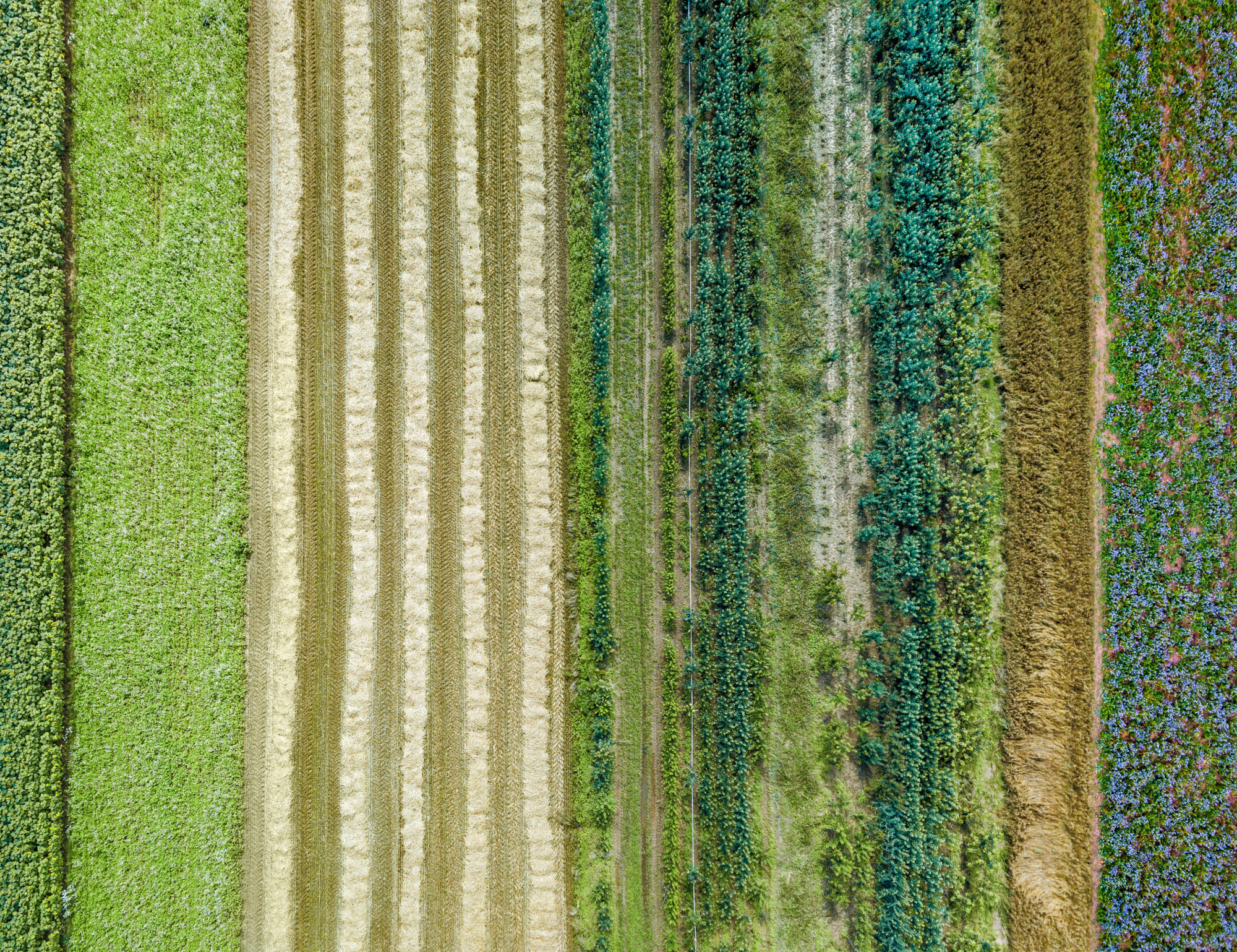 collaborative CSR approach agency consulting consultancy experts