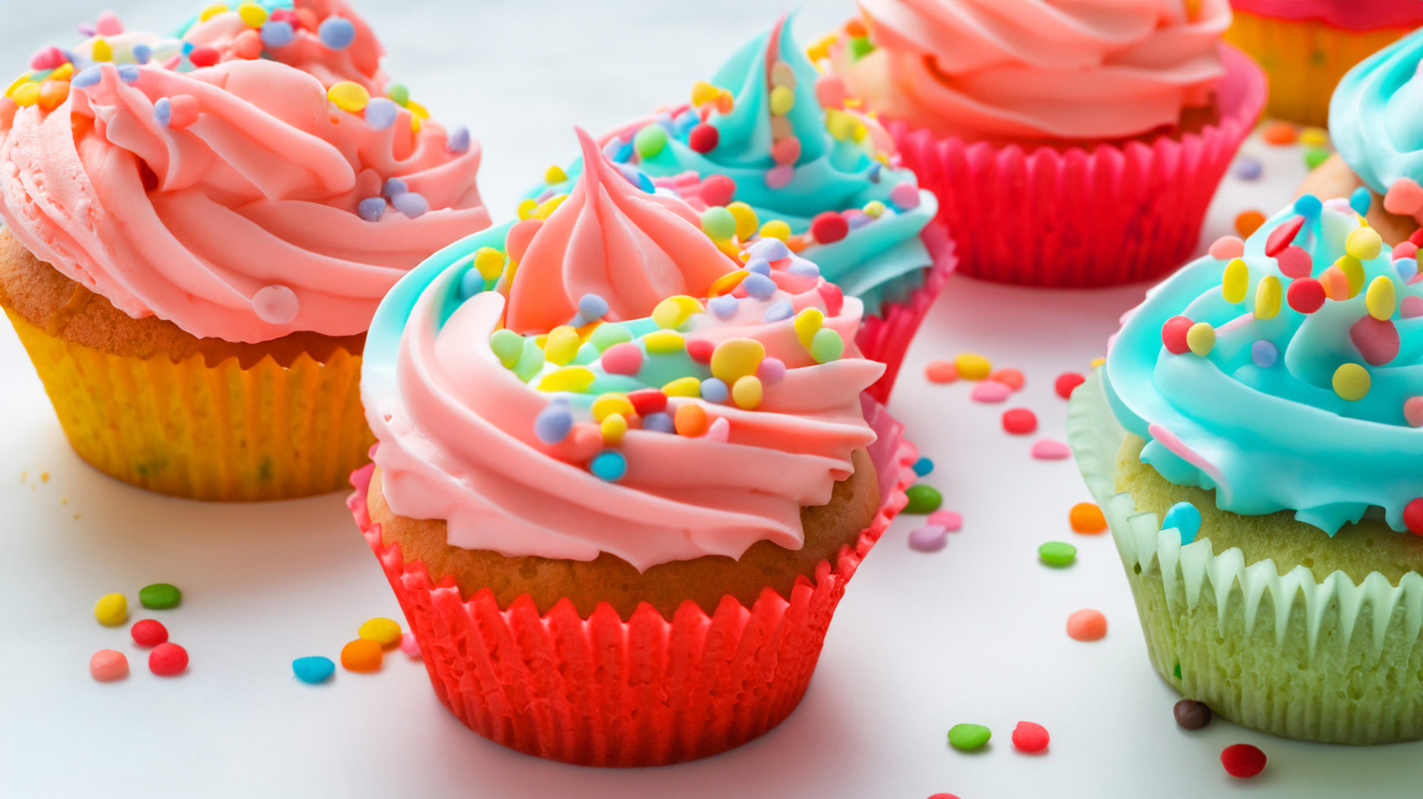 agri-food Agency Consulting firm Experts Specialists Consultancy