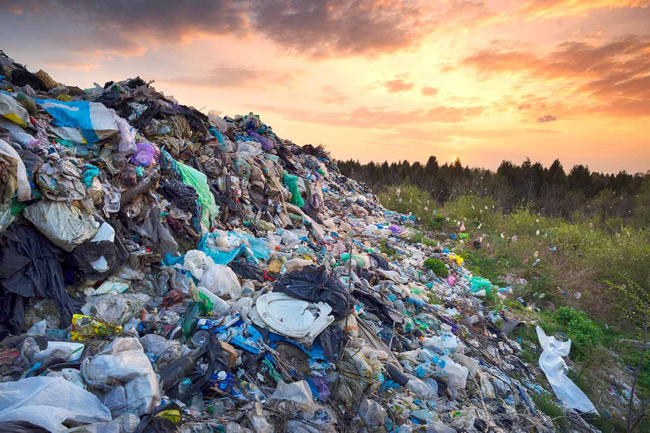 food waste asia agence cabinet conseil consulting