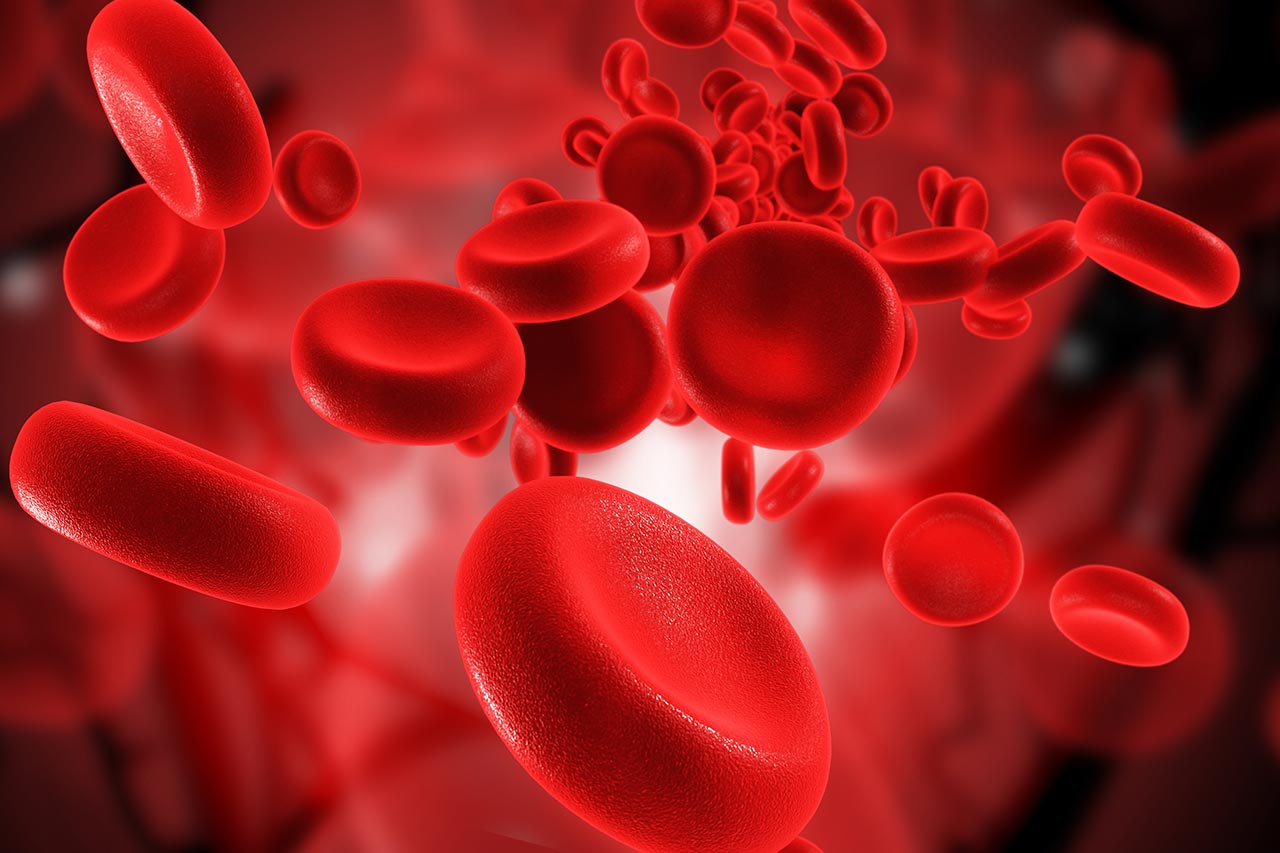 Management, blood transfusion agence cabinet conseil consulting