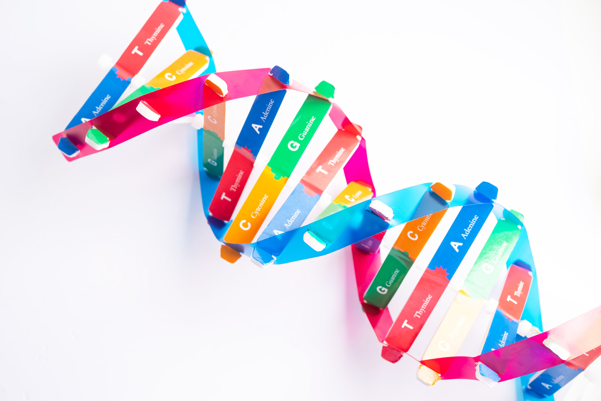 Healthcare Agency Consulting firm Experts Specialists Consultancy