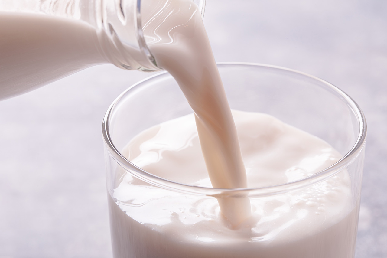 dairy industry agence cabinet conseil consulting