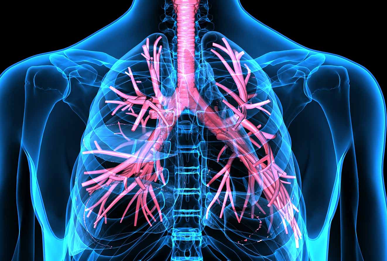 Respiratory diseases agence cabinet conseil consulting