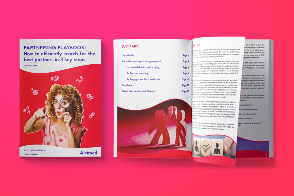 partnering approach consulting conseil