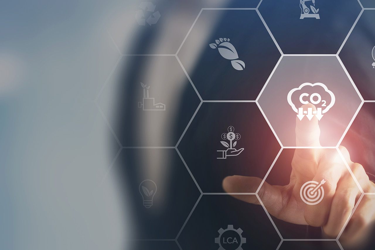 effective carbon neutrality agence cabinet conseil consulting