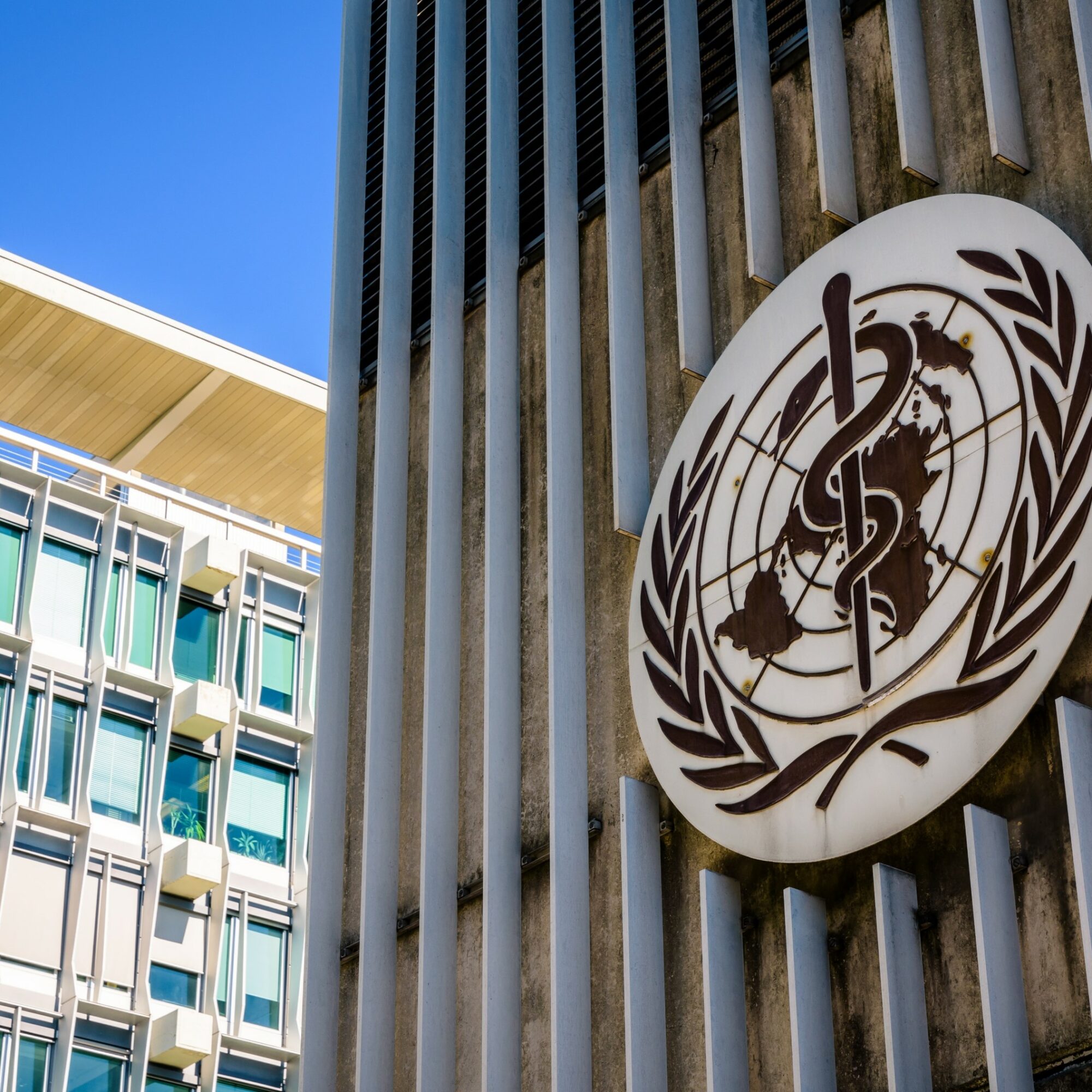 WHO Academy agence cabinet conseil consulting