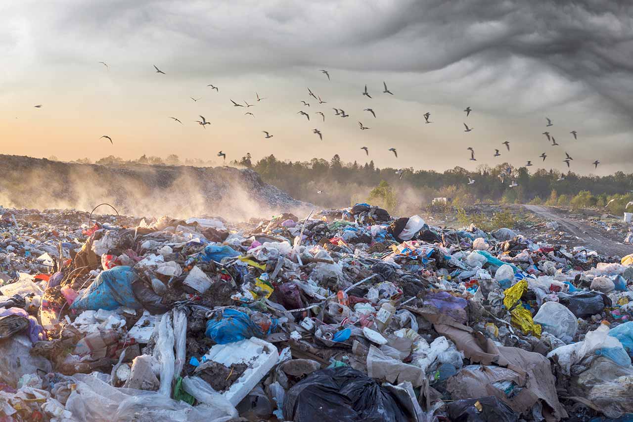 recycling agence cabinet conseil consulting