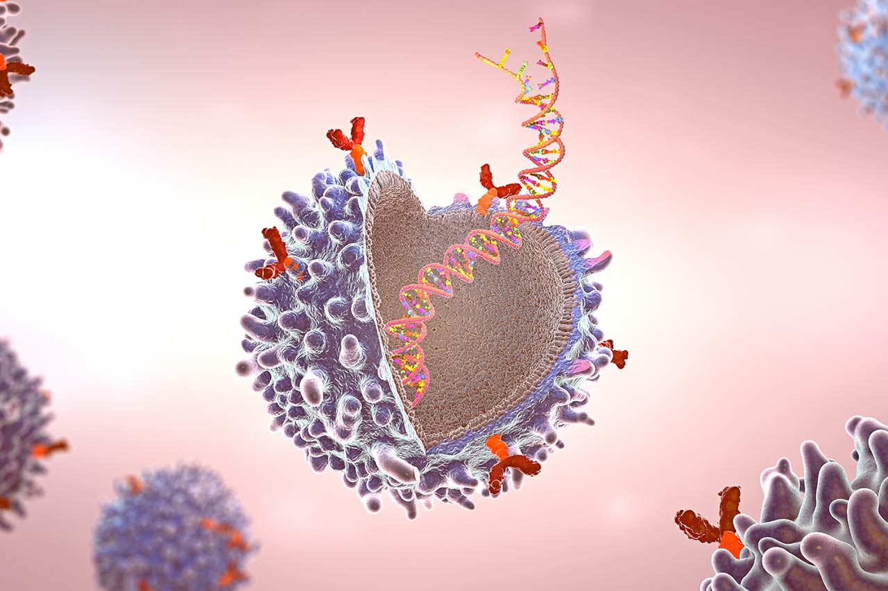 car t cell therapies agence cabinet conseil consulting