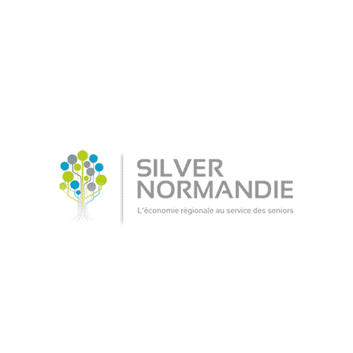 Logo_carre_Silver_normandie